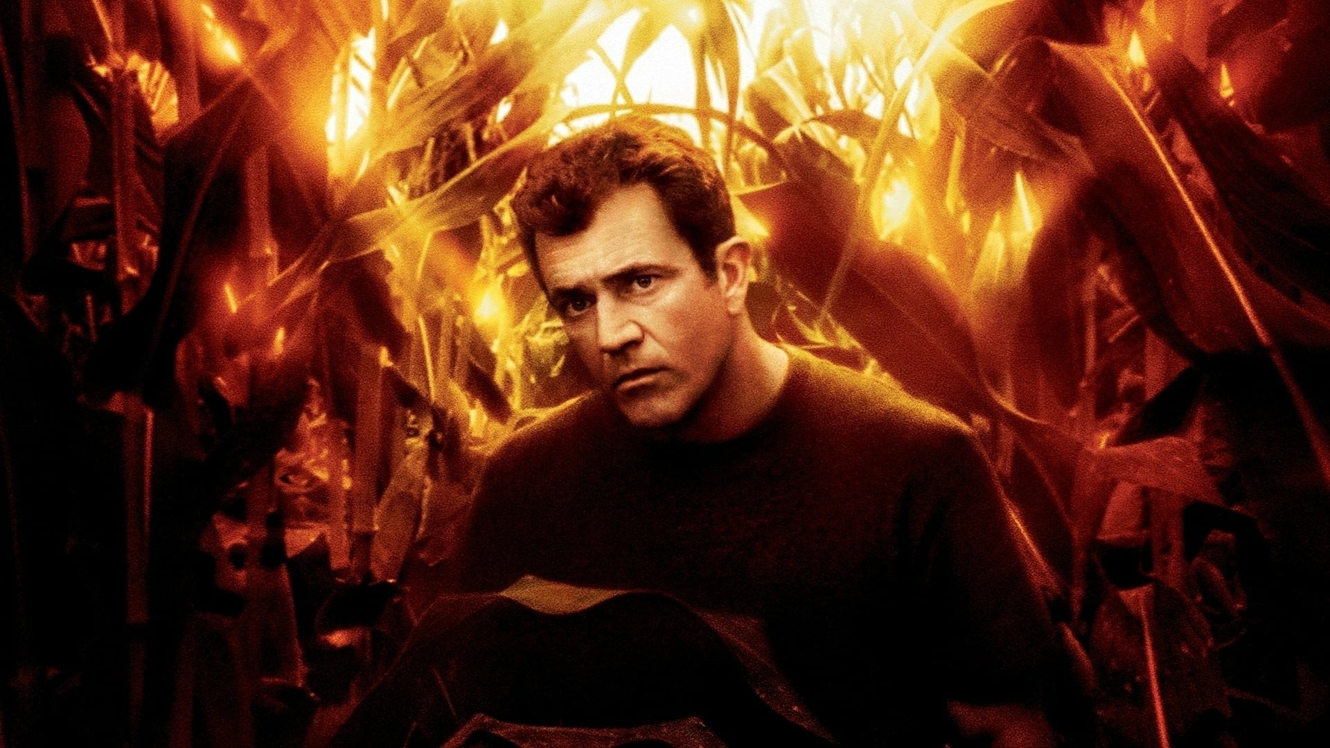 Những Vòng Tròn Bí Ẩn