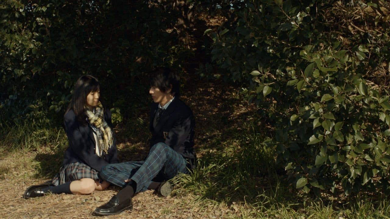 Những Kẻ Hèn Nhát Ngước Nhìn Bầu Trời