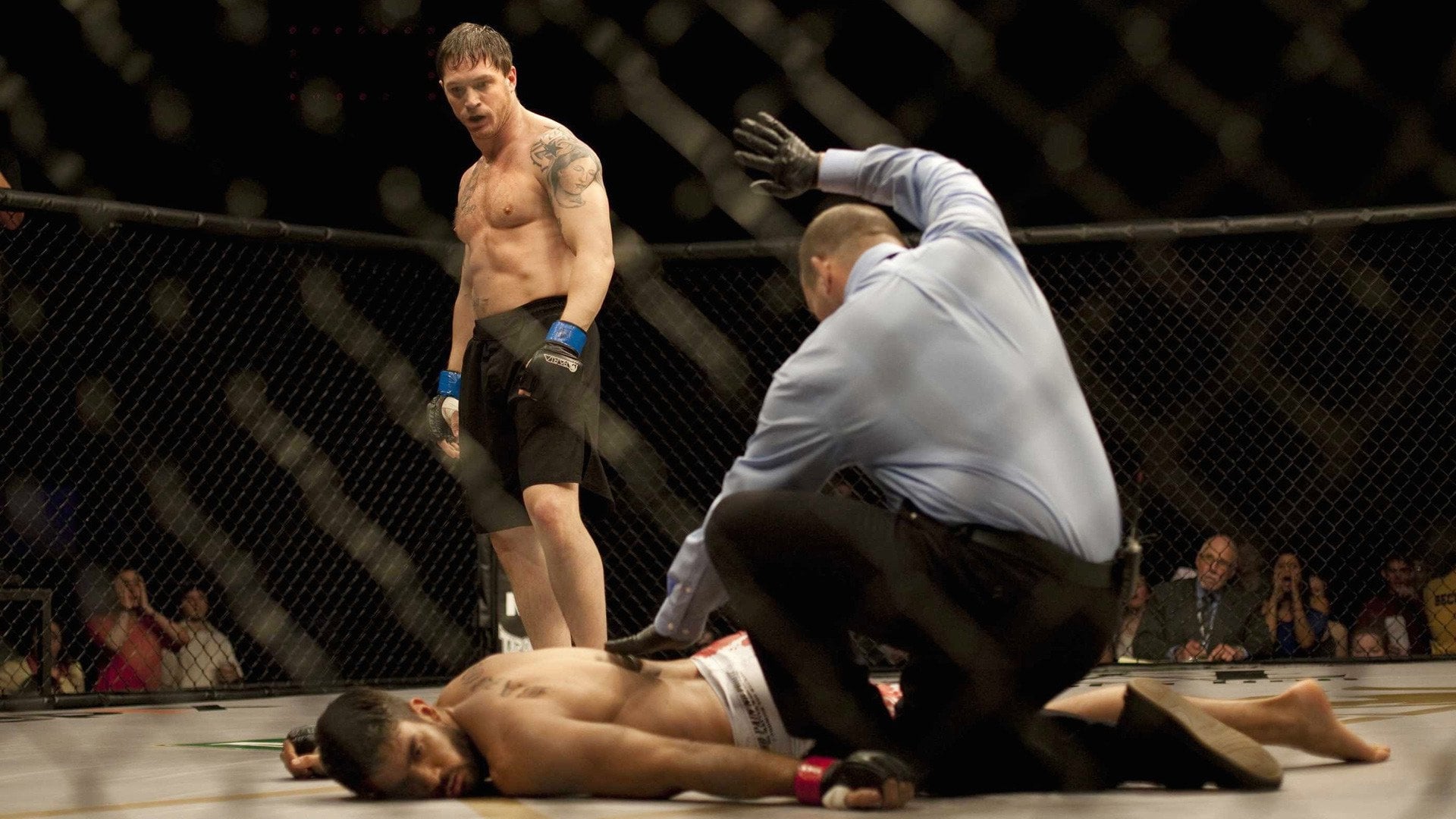 Chiến Binh Quyền Anh